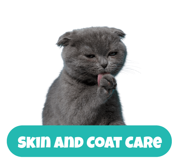 Bestial-Pest-House-health-5